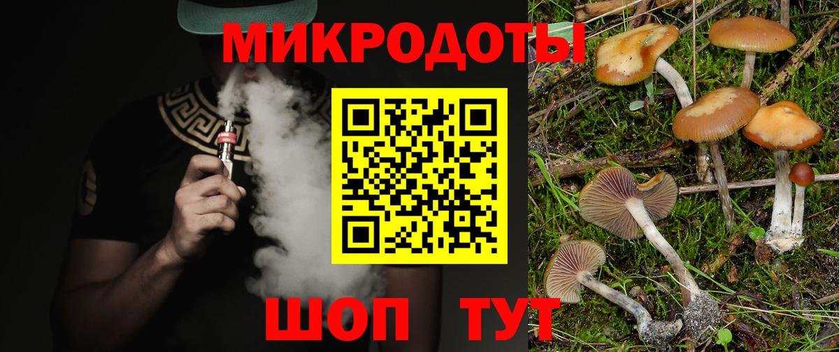 Галлюциногенные грибы Psilocybine cubensis  Вход с VPN  Галлюциногенные грибы ЛСД  Королёв 